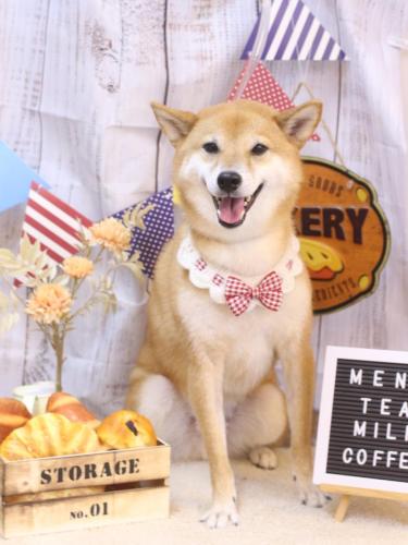 20240915シュウくん